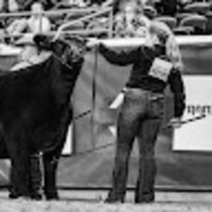 Meet your Posher, Addison